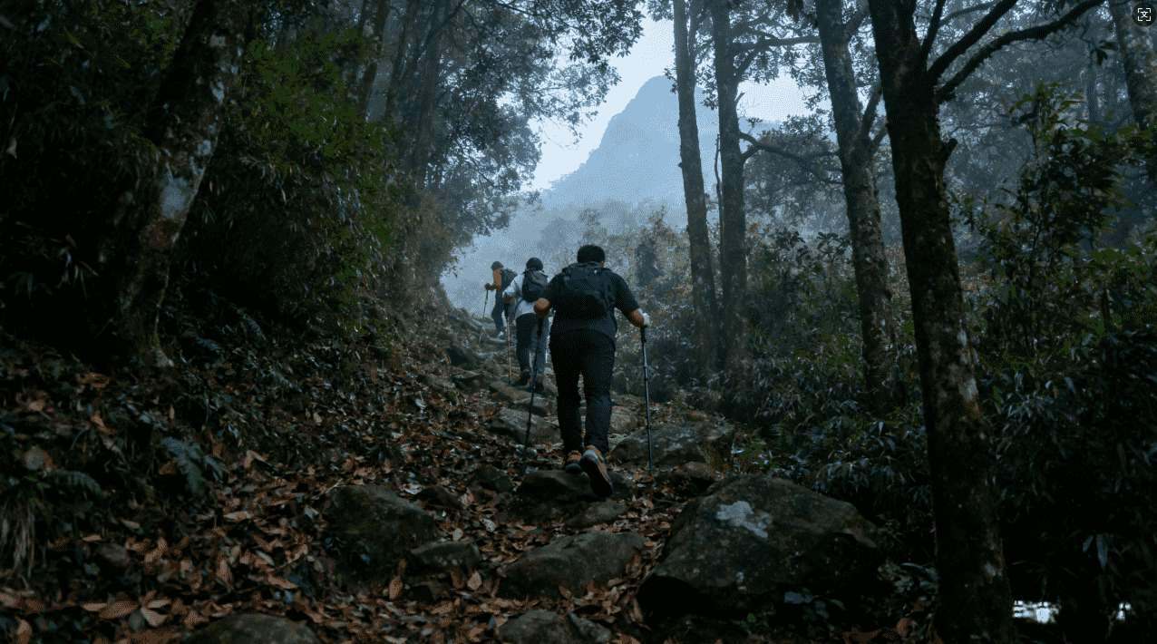 佛跳墙加速器的性能评测与可信度分析：值得信赖吗